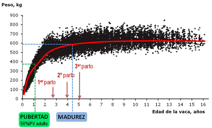 figura 1