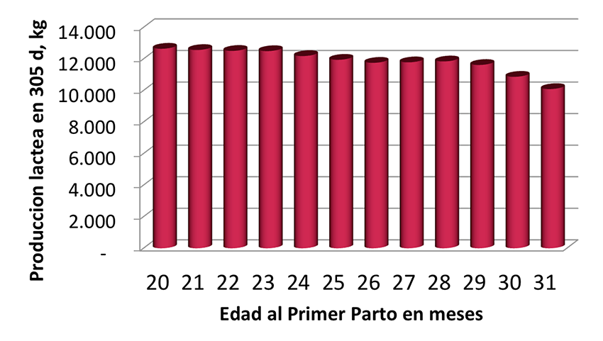 Grafica - Producción de leche