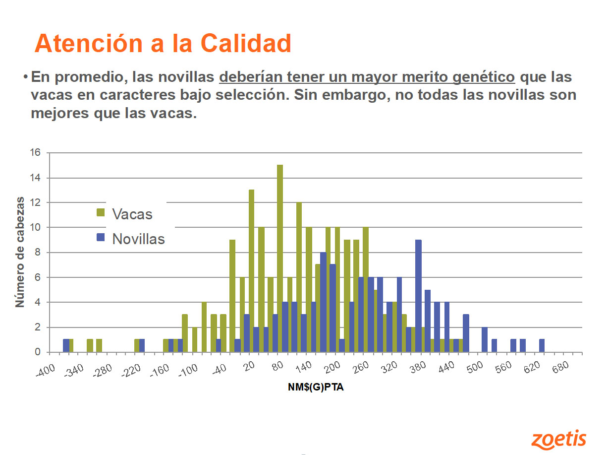 Ejemplo 1